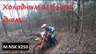 Осенний прохват на Minsk X250 (Motolend Blazer 250, Forte FT-250GY)