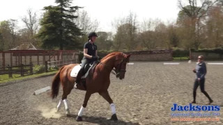 How to Ride the Shoulder-in With Anna Ross-Davies | Jacksons Fencing