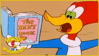 Woody Woodpecker Show | Baby Buzzard | 1 Hour Compilation | Cartoons For Children