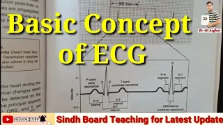 Basic Concept of ECG (Federal Board) #MDCAT #Biology