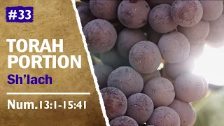 Torah Portion Sh'lach - The Twelve Spies, Joshua & Caleb, The Pool of Siloam and Jairus