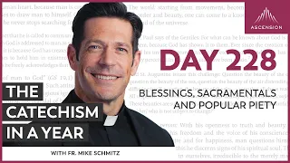 Day 228: Blessings, Sacramentals and Popular Piety — The Catechism in a Year (with Fr. Mike Schmitz)