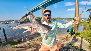 The Locals LIED About This Fish... I'm Glad I Didn't Trust Them! - SALTWATER CATFISH Catch and Cook!