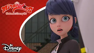 😨 Czas na prawdę! | Miraculous: Biedronka i Czarny Kot | Disney Channel Polska