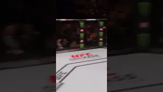 Tyron Woodley KO's Robbie Lawler and becomes the new UFC Welterweight champion