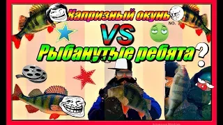 Капризный окунь VS Рыбанутые ребята