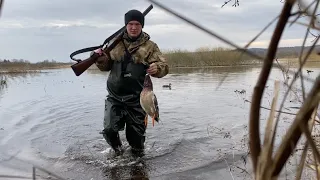 ДУШЕВНАЯ ОХОТА С ПОДСАДНОЙ уткой! Весна пришла. Обо всем понемногу. ВЕСЕННЯЯ ОХОТА!