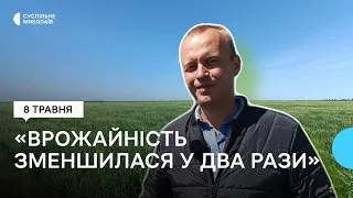 Як кліматичні зміни та мінування впливають на агросектор Миколаївської області