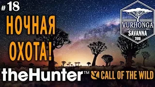 theHunter Call of the Wild #18 🔫 - Ночная Охота - Ружье, Винтовка - Шакал, Заяц, Буйвол