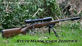 Steyr Mannlicher Zephyr II, Unboxing, arrived for REVIEW