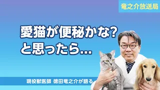 【竜之介放送局69】愛猫が便秘かな？と思ったら.../My cat may be constipated.