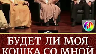 БУДЕТ ЛИ МОЯ КОШКА СО МНОЙ В РАЮ?