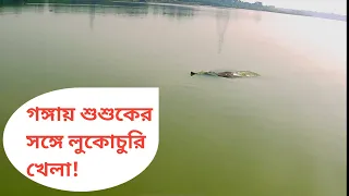 Ganges River Dolphin Near Sabuj Dweep II গঙ্গায় শুশুকের সঙ্গে লুকোচুরি খেলা! #riverdolphin#শুশুক