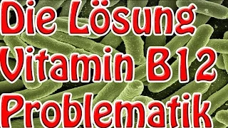 Vitamin B12 Roh Vegan Problem lösen ohne Supplemente/Studienbasiert