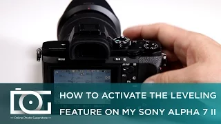 SONY a7 II TUTORIAL | How To Activate the Leveling Feature on Sony Alpha a7 II Cameras