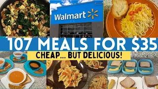 107 MEALS FOR $35 | EXTREME GROCERY BUDGET HAUL