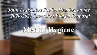 Joint Legislative Public Hearing on Executive Budget Proposal: Mental Hygiene Hearing - 02/03/20