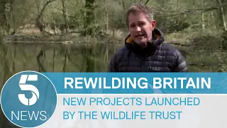 Environment: Rewilding projects launched across England and Wales by the Wildlife Trust | 5 News