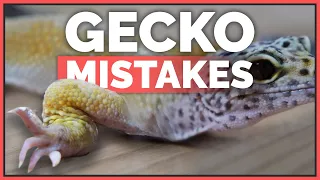 How NOT to Care for Leopard Geckos - Common Mistakes!