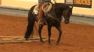 AQHA Ranch Pleasure Class