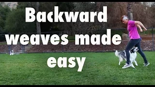 Backward weaves made easy  - Dog Tricks