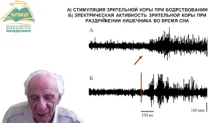 Физиология сна, сновидения, гипноза (2 часть)