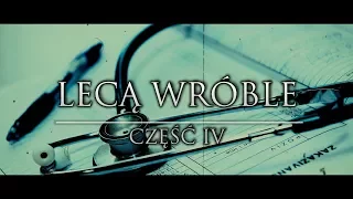 Lecą Wróble cz. 4 OSTATNIA - CreepyPasta (PL)