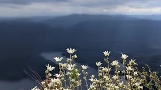 Bikepacking the Blue Mountains, Australia