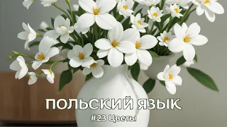 ПОЛЬСКИЙ ЯЗЫК | #23 Цветы | ПОЛЬСКИЕ СЛОВА