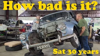 1967 Morris Minor (How bad is it?)