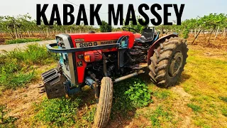 Massey Ferguson 260 G I Taşlı Tarla Canavarı I Kabak Massey I Manifold Günlüklerim