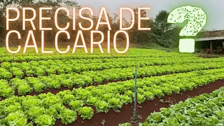 COMO PREPARAR O SOLO PARA HORTA