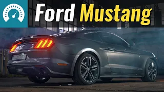 Ford Mustang. Живий? Не вірю...