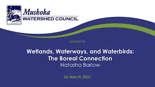 Wetlands, Waterways, and Waterbirds: The Boreal Connection