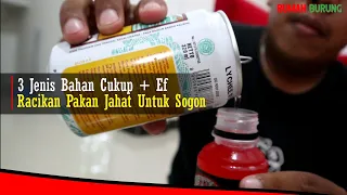 MUDAH MERACIK PAKAN JAHAT UNTUK SOGON