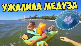 УЖАЛИЛА МЕДУЗА / Чёрное море село Морское