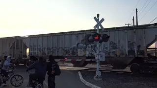 UP 5567 Manifest North, Sacramento Northern Bike Trail Ped. Railroad Crossing, Sacramento CA