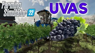 Guia Completo de Produção de Uvas - Farming Simulator 22 #FS22