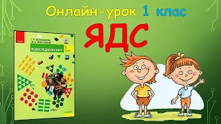 Я досліджую рослини влітку 1 клас