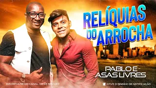 PABLO E ASAS LIVRES ESPECIAL