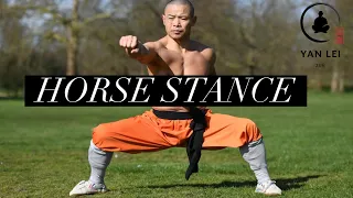 Kung Fu Horse Stance - Internal and External