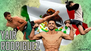Yair Rodriguez Highlights  [ 2020 HD ]  |  El Pantera