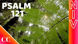 Psalm 121 - NIV - Bible Song - Psalms Songs - Scripture Worship