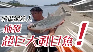 跟著手拋網達人來捕魚！捕獲巨大虱目魚！@enson011111