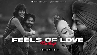 Feels Of Love | Amtee | Arijit Singh | Apna Bana Le | Raomantic Love Songs 2023