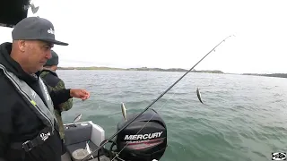 livebaiting big snaps in the Bay of Islands part 1 - A hunt with me special episode