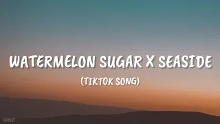 Harry Styles - Watermelon Sugar x Seaside - SEB [Tiktok Song]