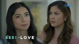 The Seed of Love: The suspicious wife confronted the wicked ex (Episode 16)