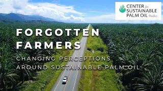 Forgotten Farmers – Changing perceptions around Sustainable Palm Oil