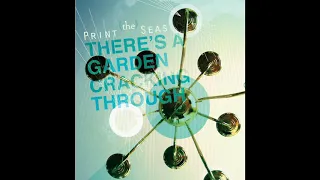 Print (The) Seas - There's A Garden Cracking Through Album 2012 (Ambient Electronic Space Pop)